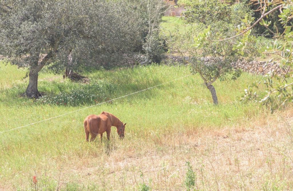 Finca Batlet S'Horta المظهر الخارجي الصورة