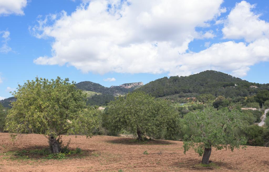 Finca Batlet S'Horta المظهر الخارجي الصورة